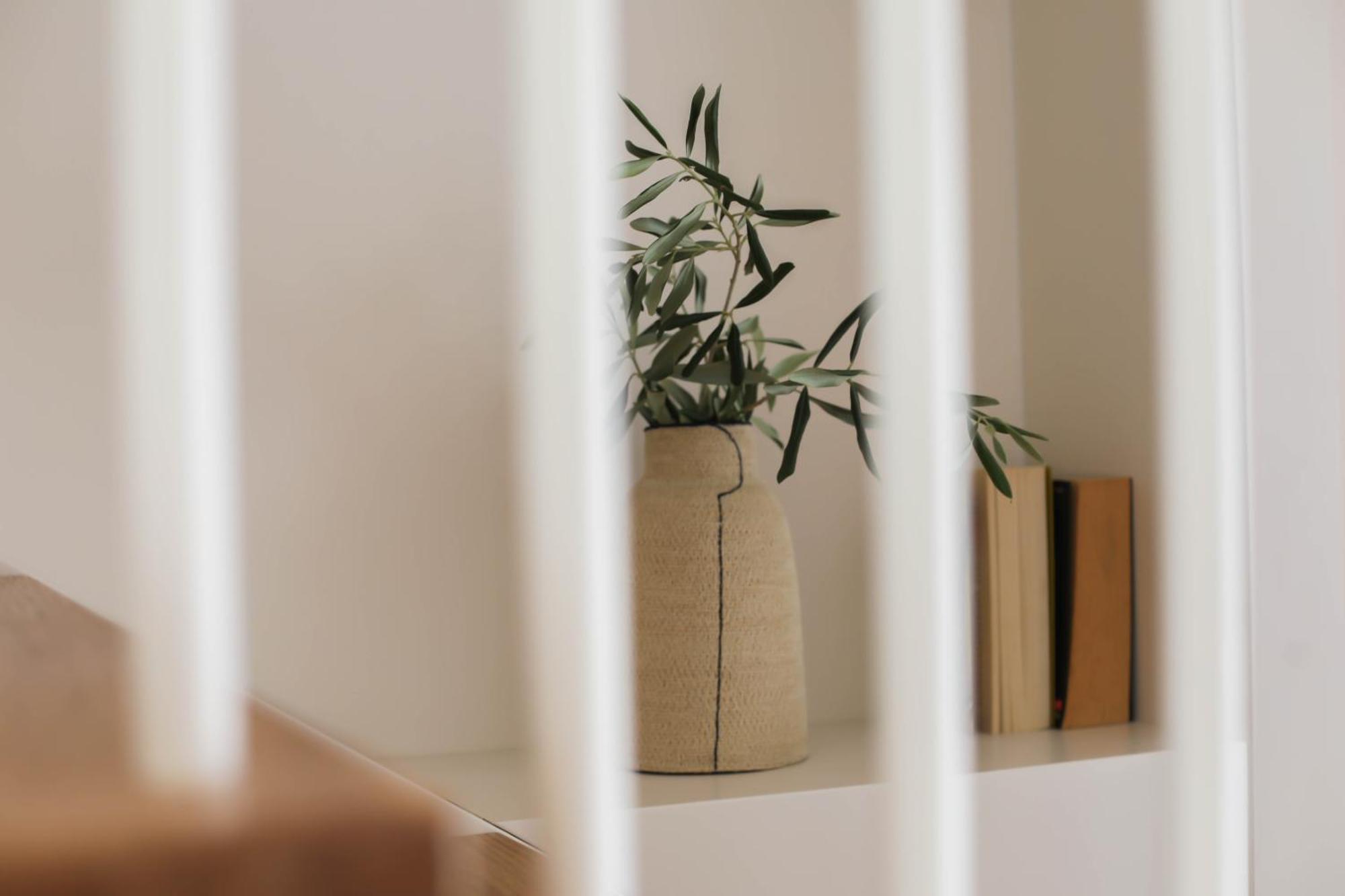 Olive Suites, Sidari Apartmán Kounavadhes